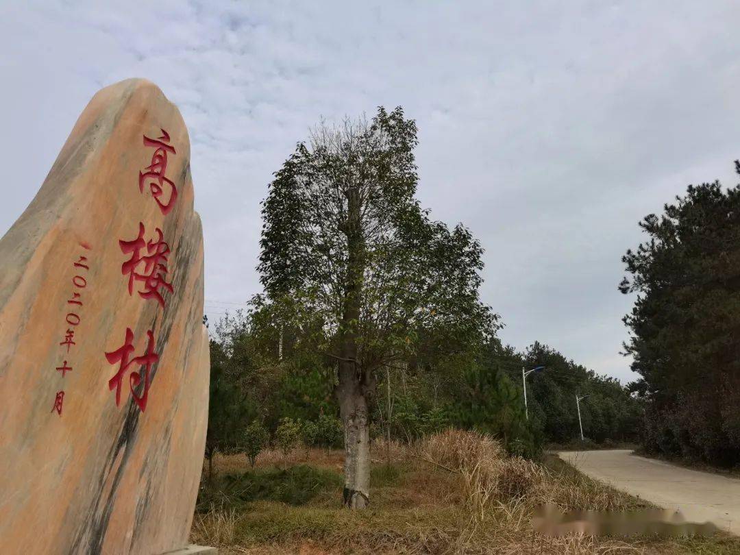 平地起"高楼"——红安县高桥镇高楼村