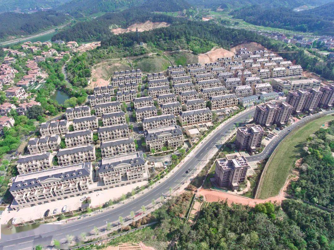 安吉龙山庄园·山语墅全盘售罄 完美收官