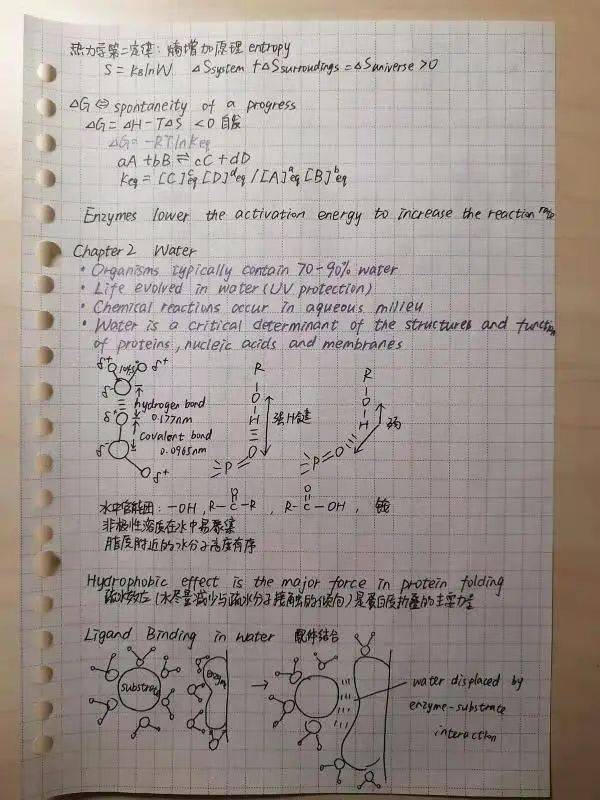 药学院优秀作业笔记实验报告展示与投票