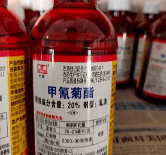 为吃3斤河鱼几名男子花了11万