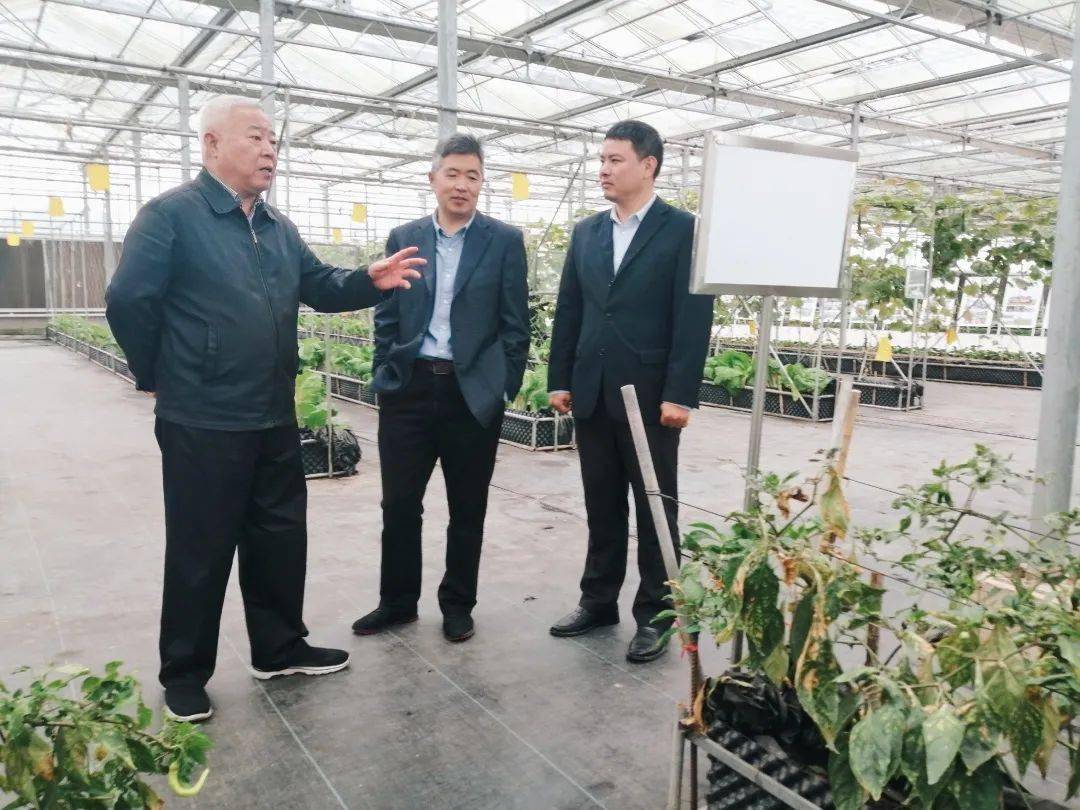 课后,童建中一行前往凤林镇乡村振兴讲堂实训基地"江山如画农场"进行