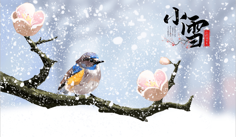小雪| 节气养生正当时,冬日滋补秘诀,看这篇就够啦!