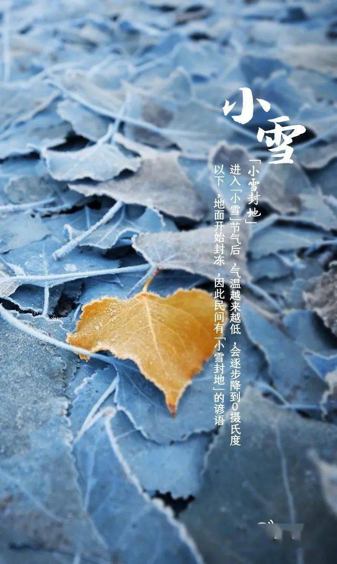 小雪节气到了广东与冬天的距离还有多远呢