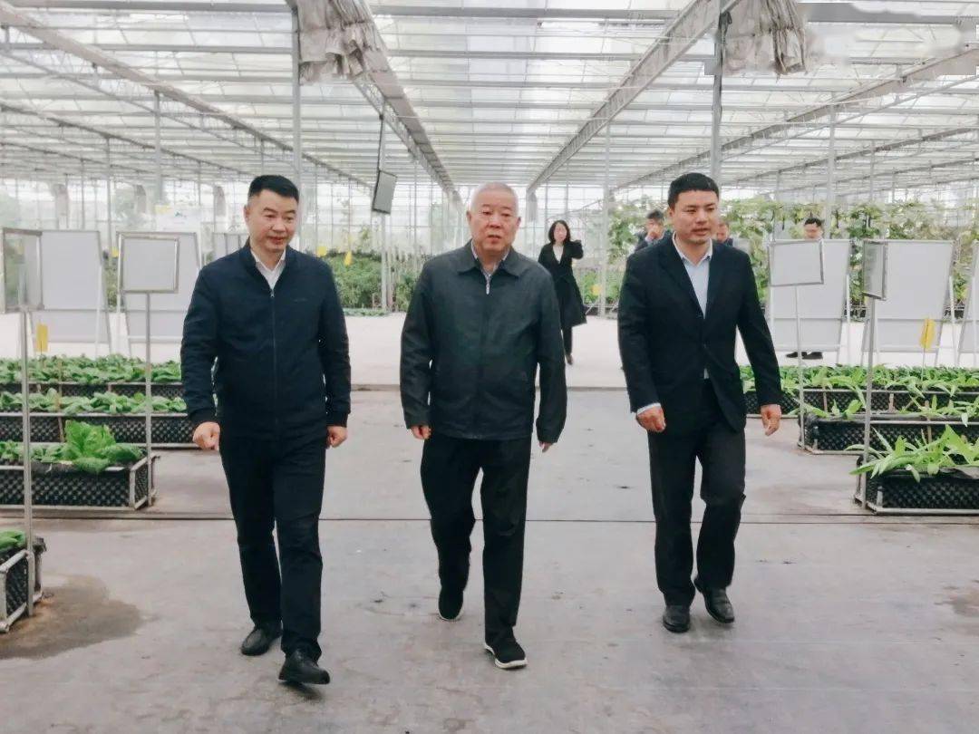 课后,童建中一行前往凤林镇乡村振兴讲堂实训基地"江山如画农场"进行