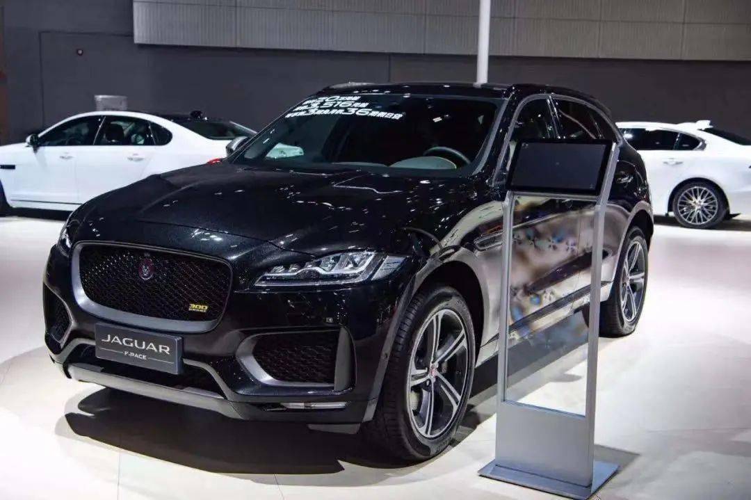 虎豹聚粤共襄盛事