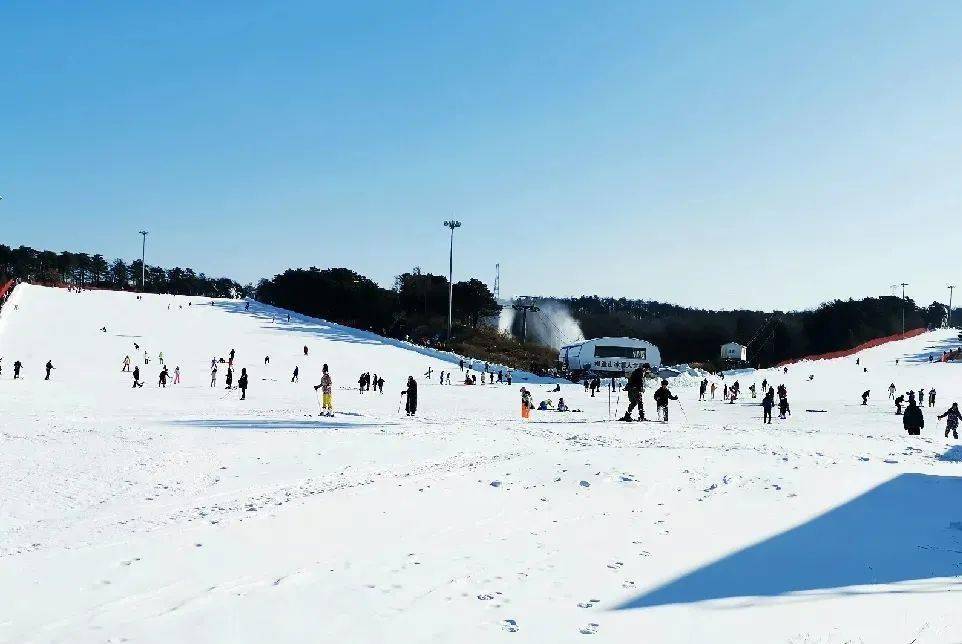 沈阳各大滑雪场开启试营业!_手机搜狐网