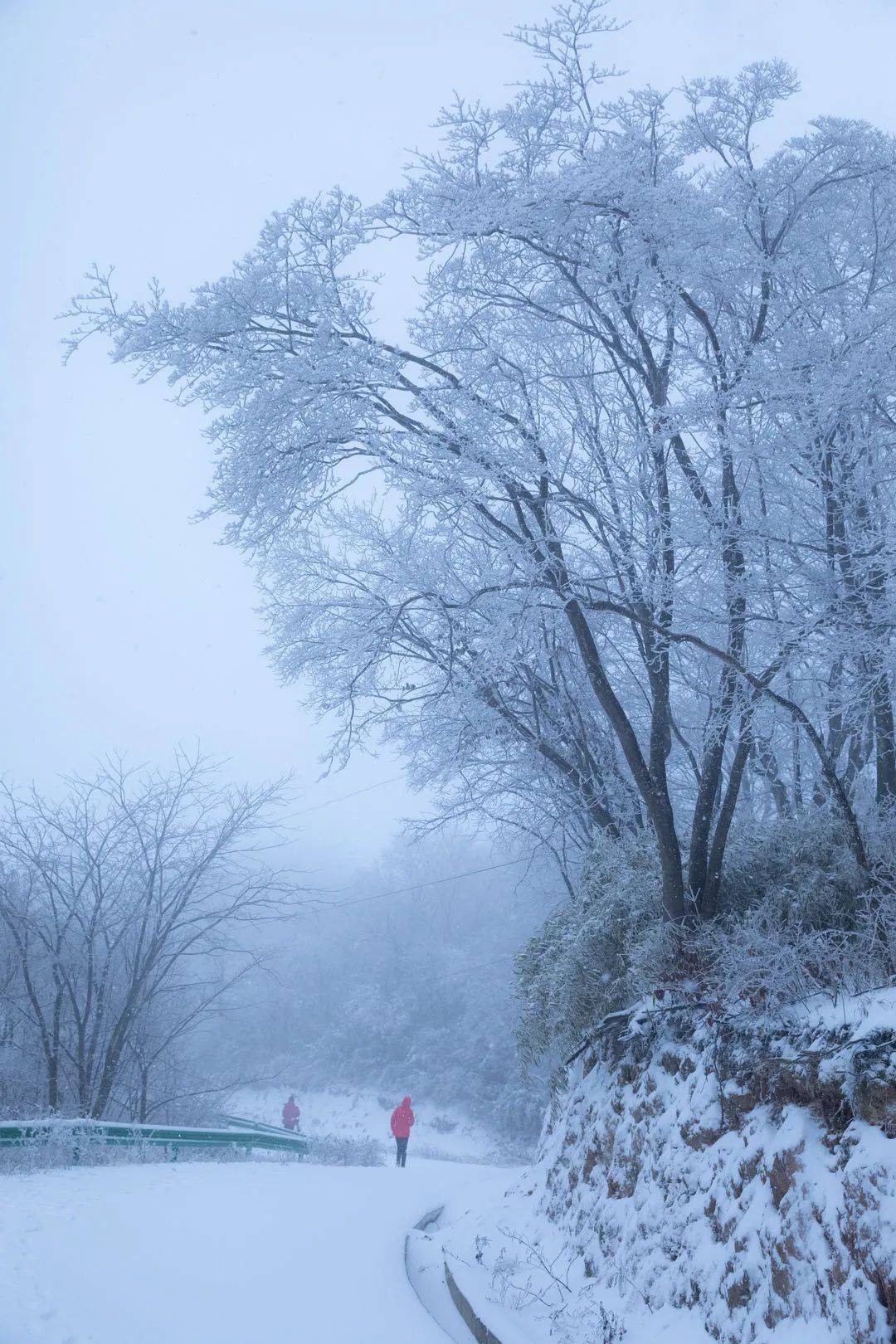 汉阴擂鼓台雪景图片