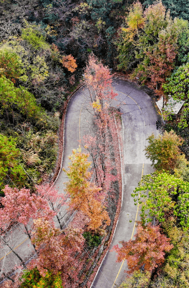 浦江绝美山路壁纸—请收下