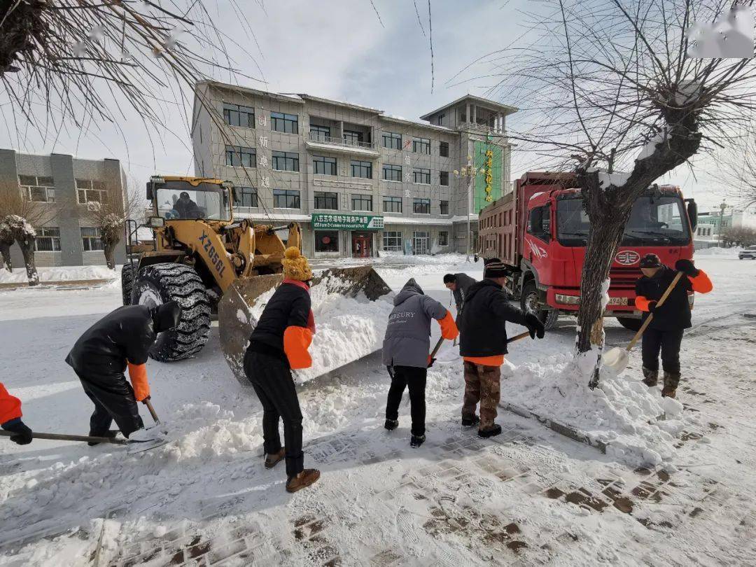 八五五农场有限公司金沙社区清雪保出行