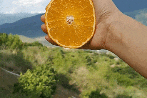 499_332gif 动态图 动图