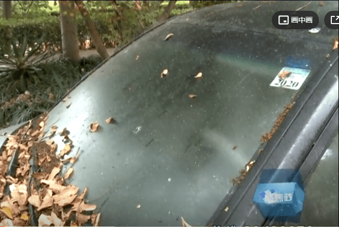 滴",人行道和盲道变得"油迹斑斑",路面又黏又滑,停在树下的车辆同样遭