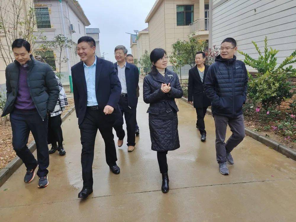 市委副书记曾萍莅临姚圩督导脱贫攻坚及新农村建设工作