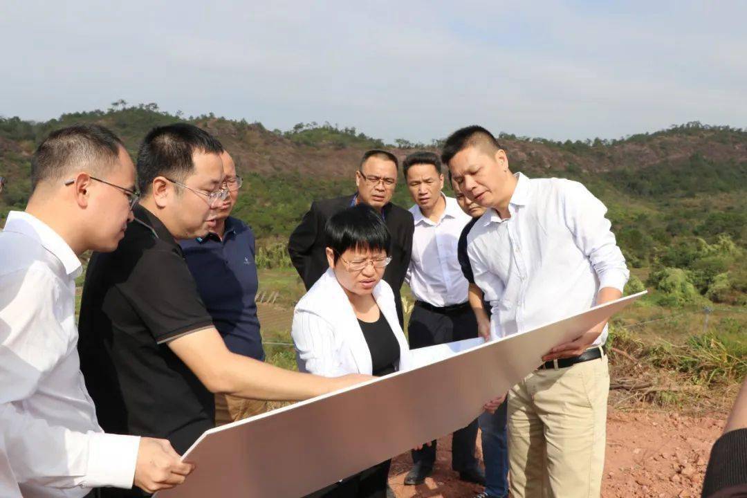 孙宇红率队调研城东街道征地拆迁和新区重点项目推进情况