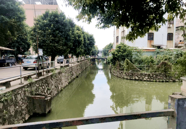 乡村蝶变⑤丨勒流江村以村改壮大集体经济为乡村振兴注入动能