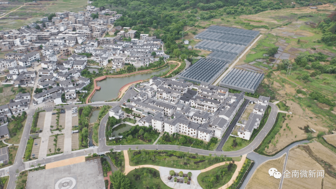 学习贯彻党的十九届五中全会城厢镇黄埠村品质农业助力乡村振兴