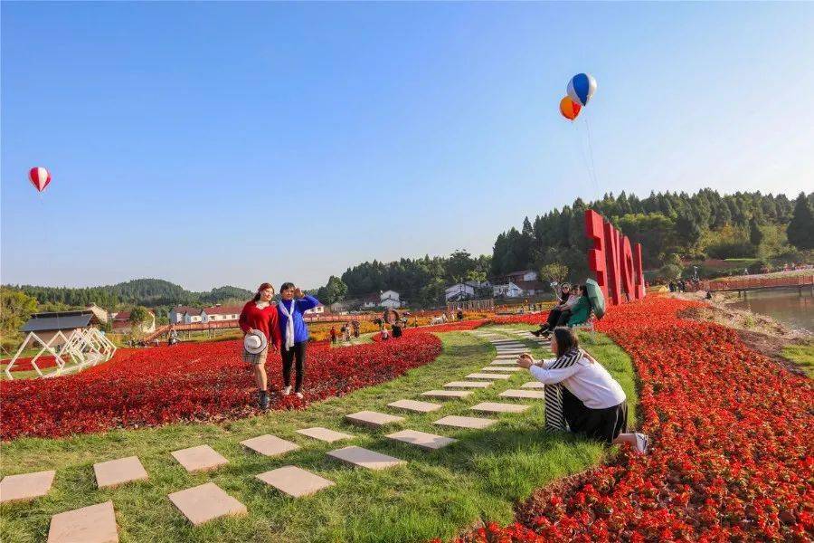 遂宁安居花海图片