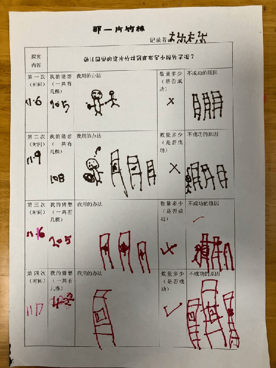 生活中的数学鹤琴幼儿园总部大一班那一片竹林班本课程下的数学活动