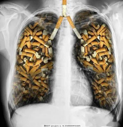 燃烧的是香烟消耗的是生命