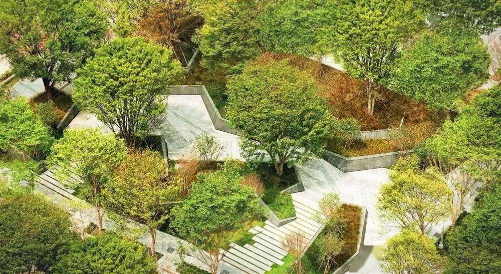 庭院植物设计,营造十足空间感