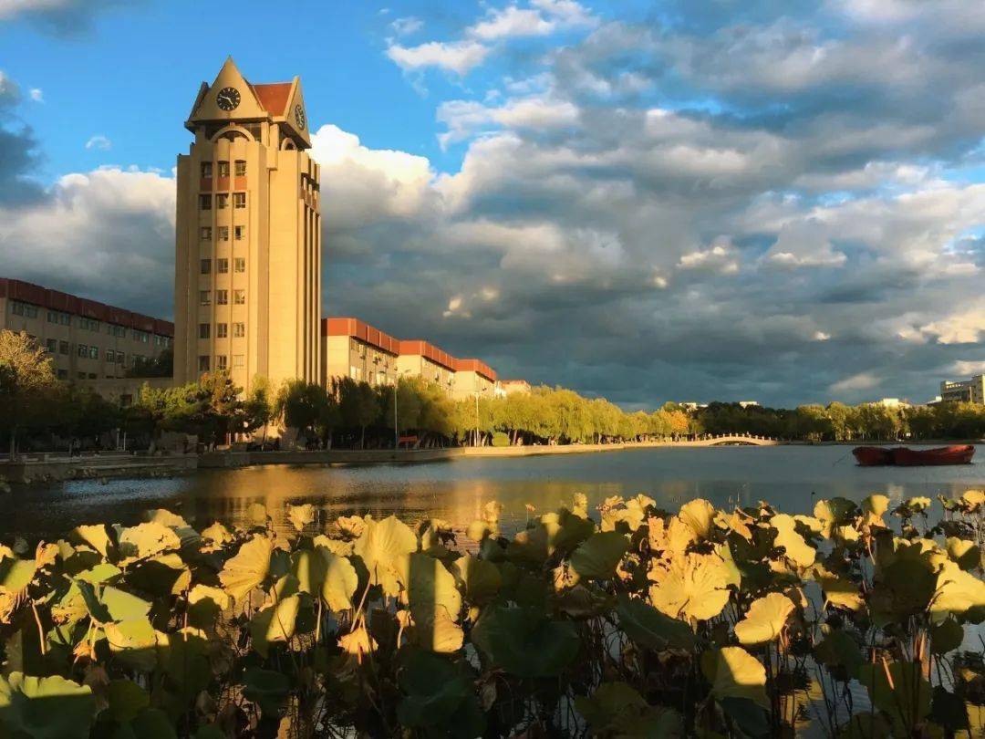 的落在烟大学子的身上鸟儿在月色里吟唱星星躲在夜空中隐隐的散发着