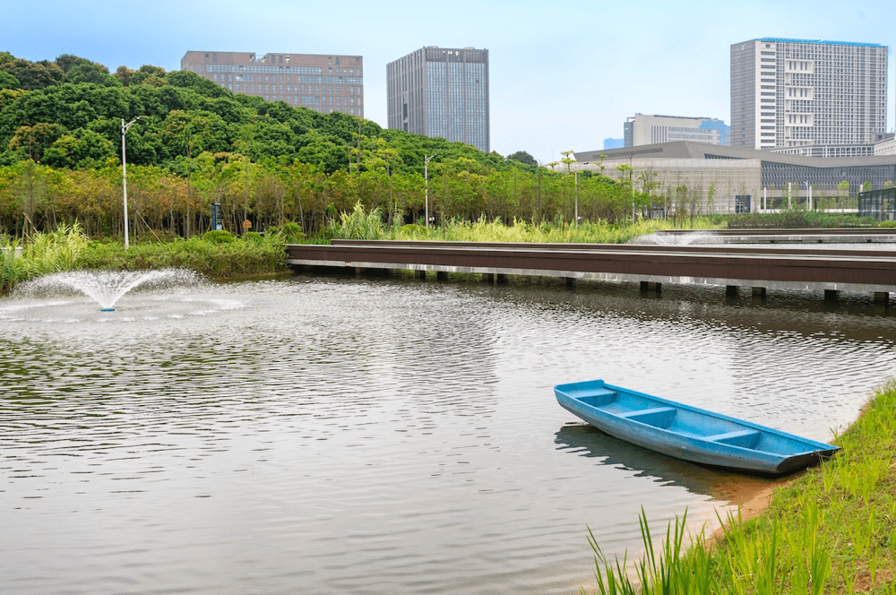 我和我的深大你真的了解丽湖么