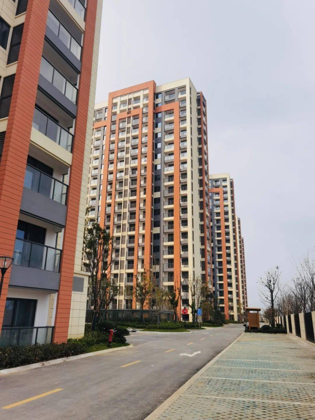 岁金时代实景呈现渐入家境