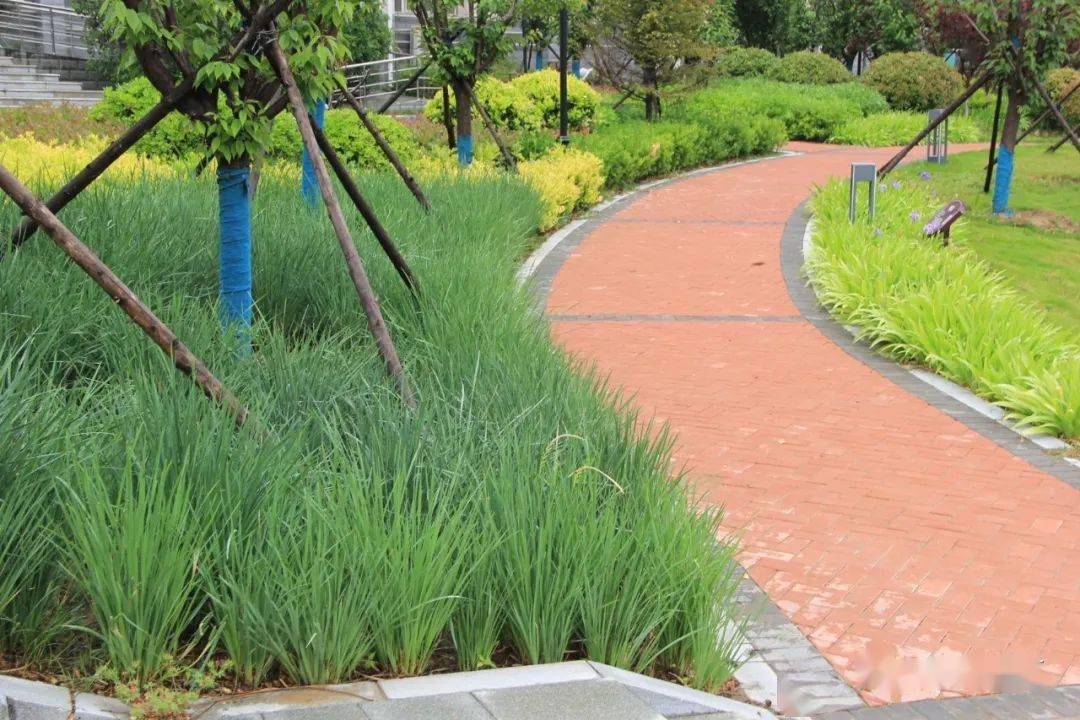 优秀项目展播l河南职业技术学院项目推进海绵城市建设要让城市既有