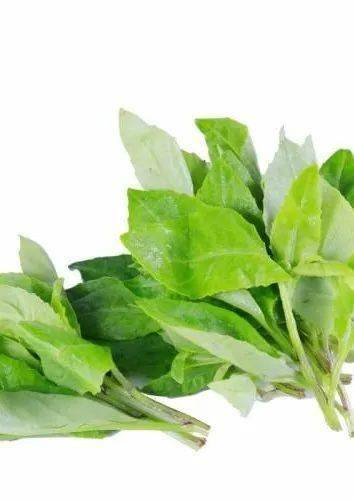 营养丰富的各种蔬菜:如乌塌菜,紫油菜,穿心莲,藤三七,白背天葵等