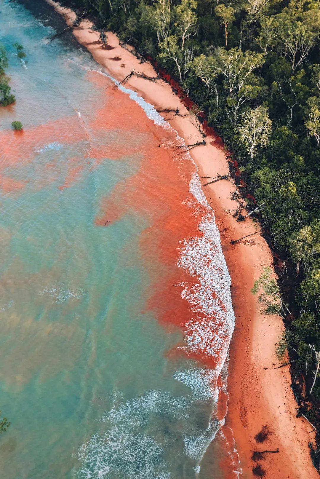 提维群岛(tiwi islands)是个与世隔绝的彩虹之地96,茂密的雨林,幼滑