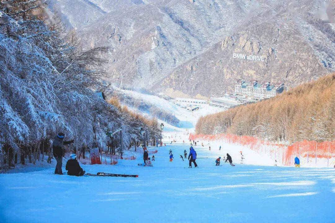 26万龙雪况|"地表最强"初级道--长龙道新开放,为滑雪小白量身定制!_km