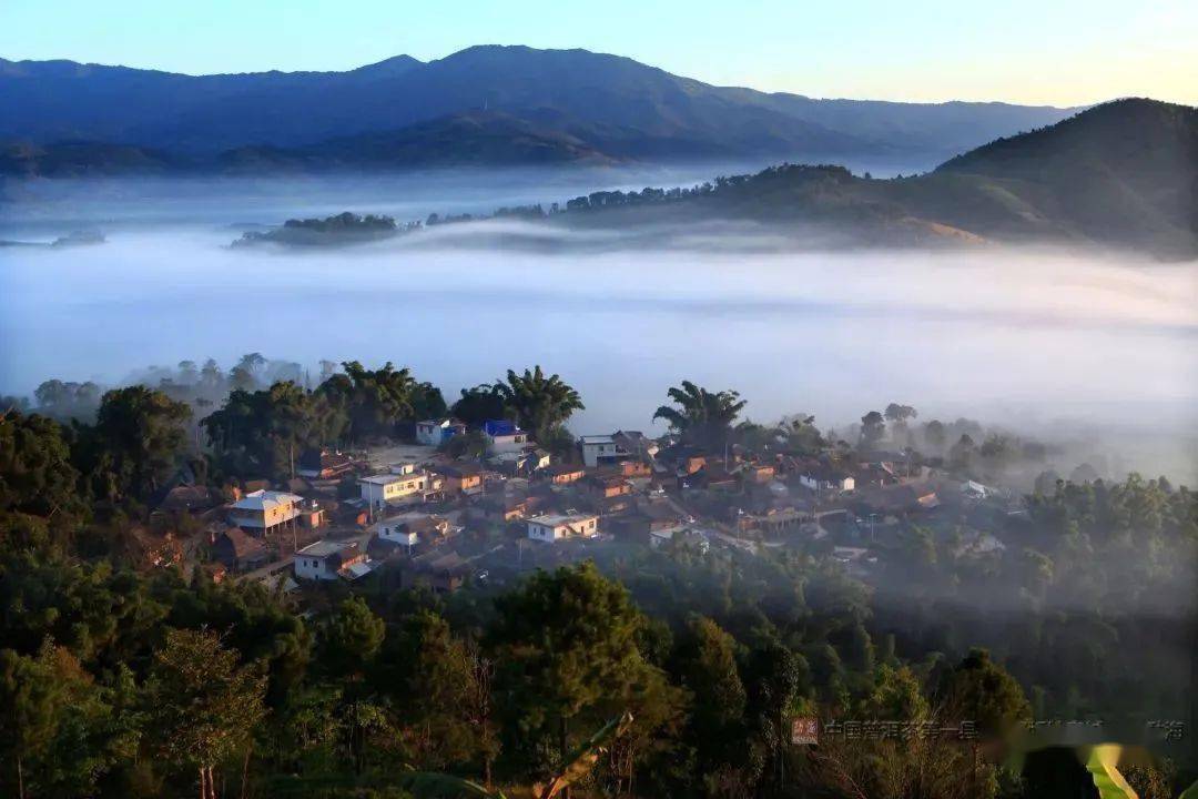 勐海茶61勐海味是个什么味到最地道的三条考察路线一探究竟