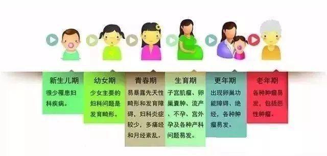 中青年女性年龄范围图片