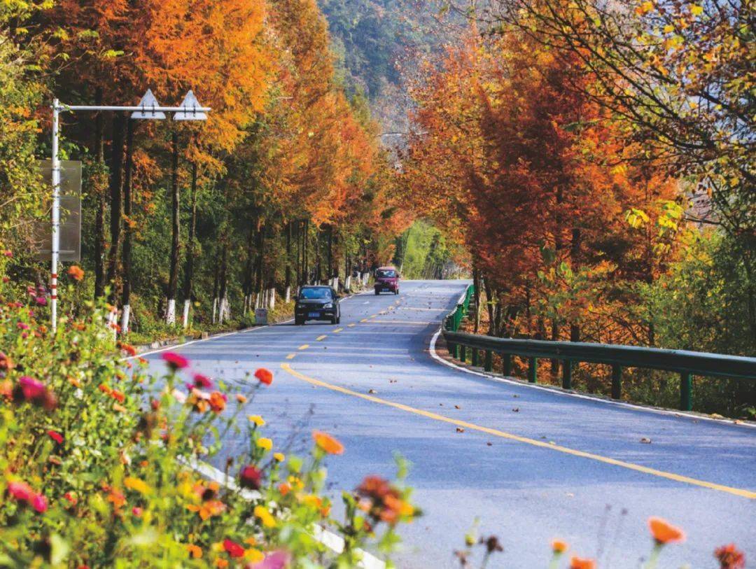 看!宜昌"美丽宜道" ,铺就康庄大道