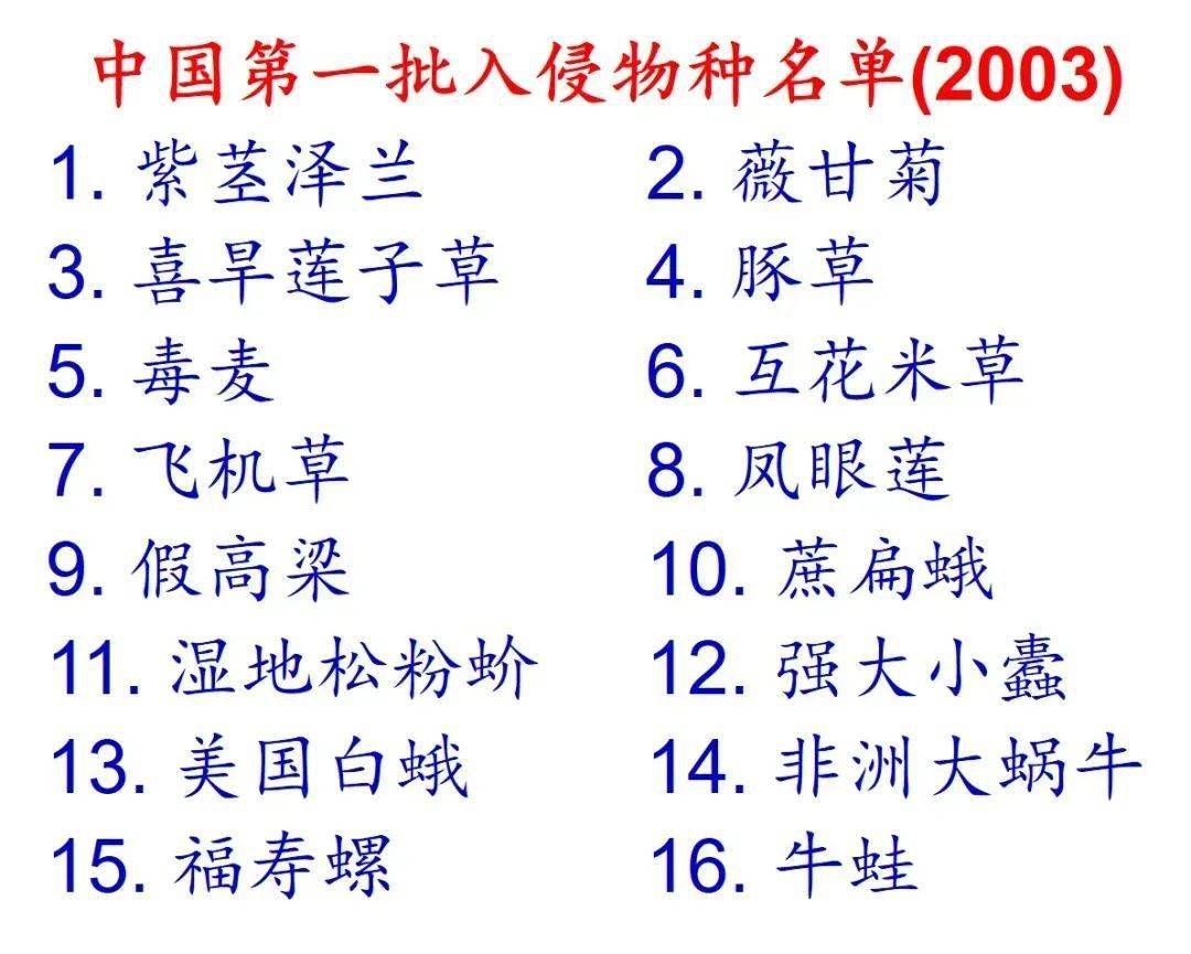 科普知识 | 身边有哪些外来入侵物种?一起来认识