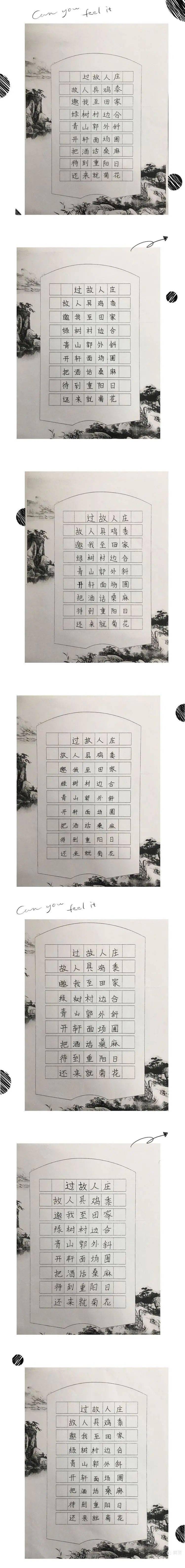 菊花竞放,翰墨飘香——更楼小学菊花节系列活动之菊花诗句硬笔书法