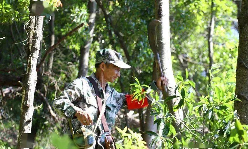 人物風采李山林場胡初升我是護林員我不幹誰幹