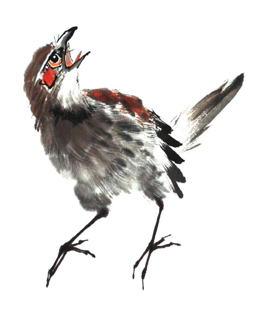 写意禽鸟的局部画法赶紧收藏绝佳素材