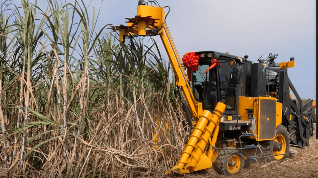 人大代表黄新孔开启甘蔗种植全程机械化之路做蔗农的贴心人