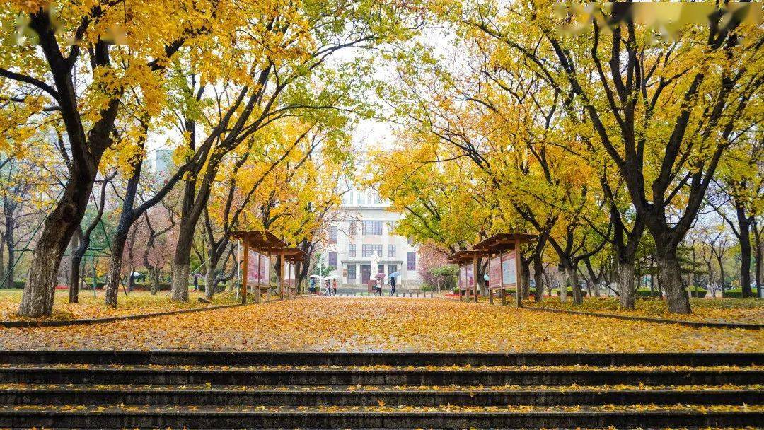 山東最美大學校園冬日一場雨山農一幅畫