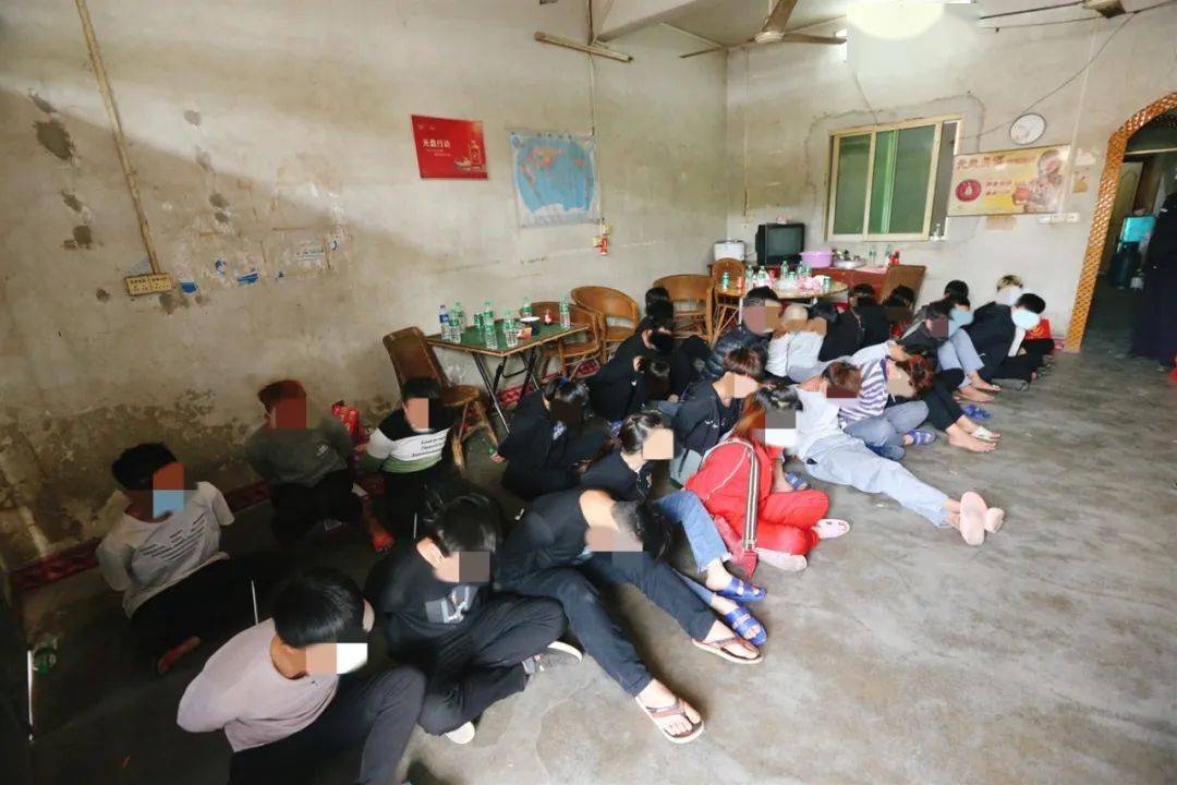 经查为牟取暴利,曾某昌伙同他人租用水车镇白沙村深山内的一养猪场