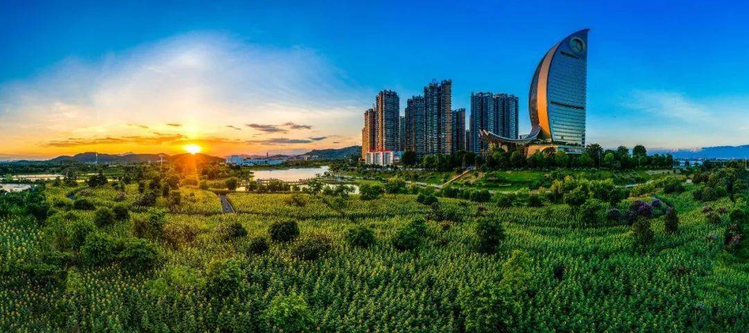 高明区西江产业新城满意度调查