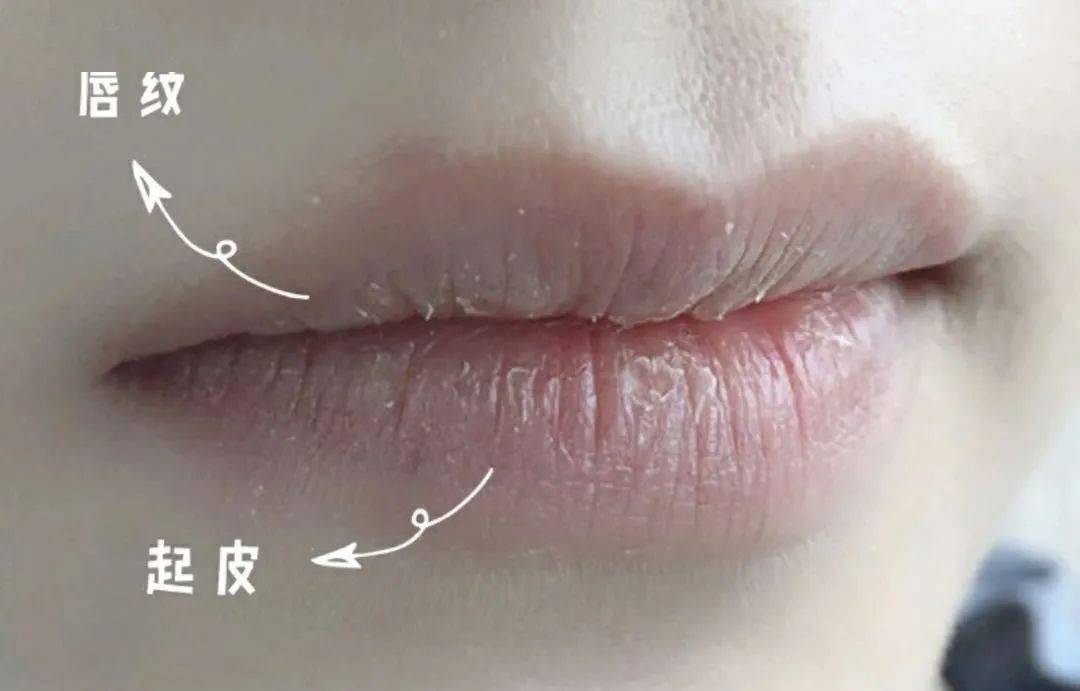 嘴巴干时千万别舔用它抹一次涂10次唇膏双唇嫩出水告别干纹唇纹