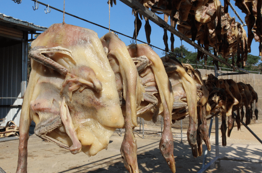 那吉人你们大晒吗