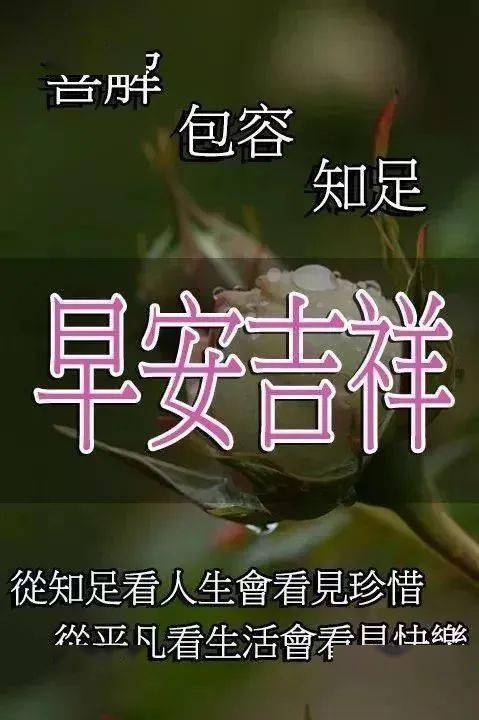 美女问候早安图片:多一抹微笑,生活会更美好!特别漂亮的早安动图
