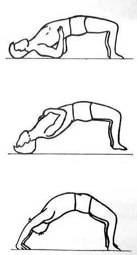 五点支撑,三点支撑,四点支撑)拱桥式锻炼 ( 五点支撑法 )的作用原理