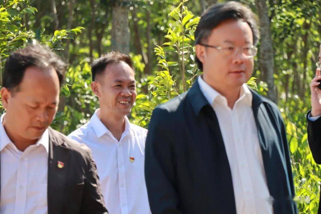 市委书记许志晖,电白区委书记谭剑锋,沙琅镇委书记吴伟华,现场考察