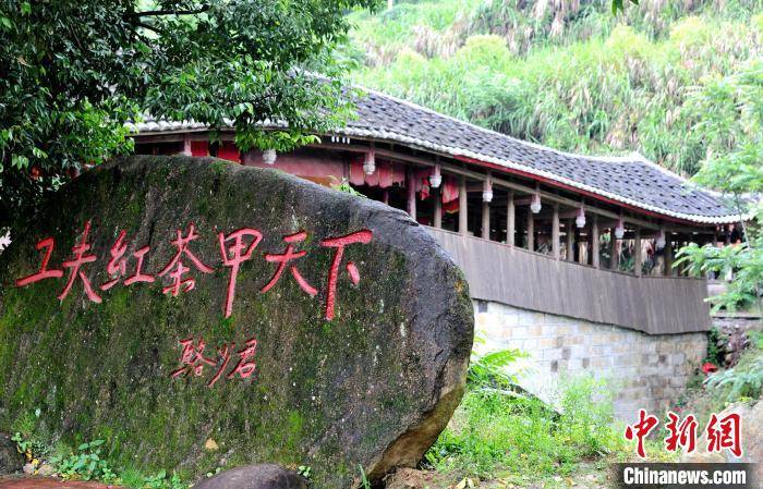 资料图:福安市社口镇坦洋村.