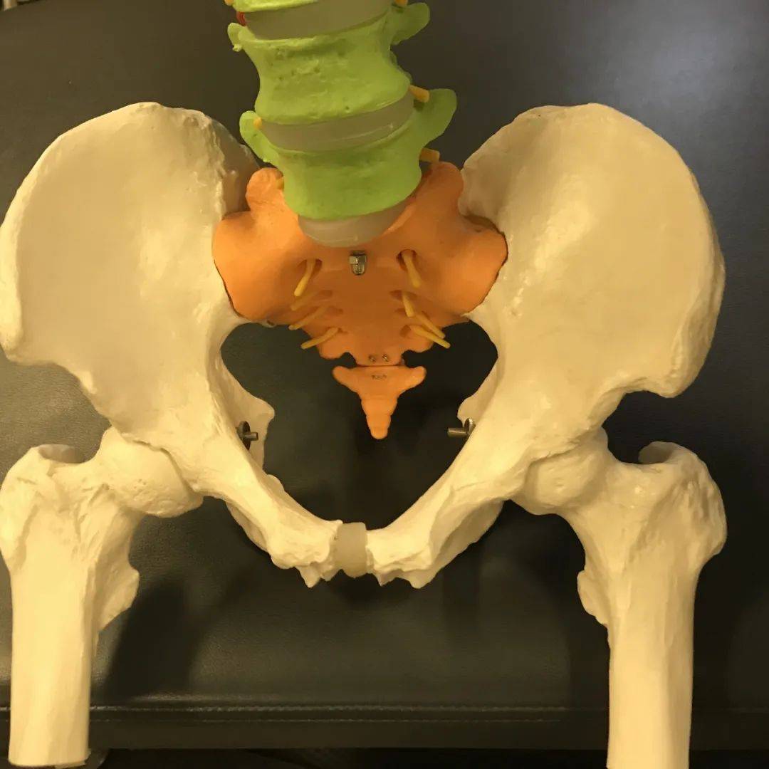 然而,骨盆不正,包括前倾,后倾,侧倾,旋转等,同时骨盆当中的骶髂关节