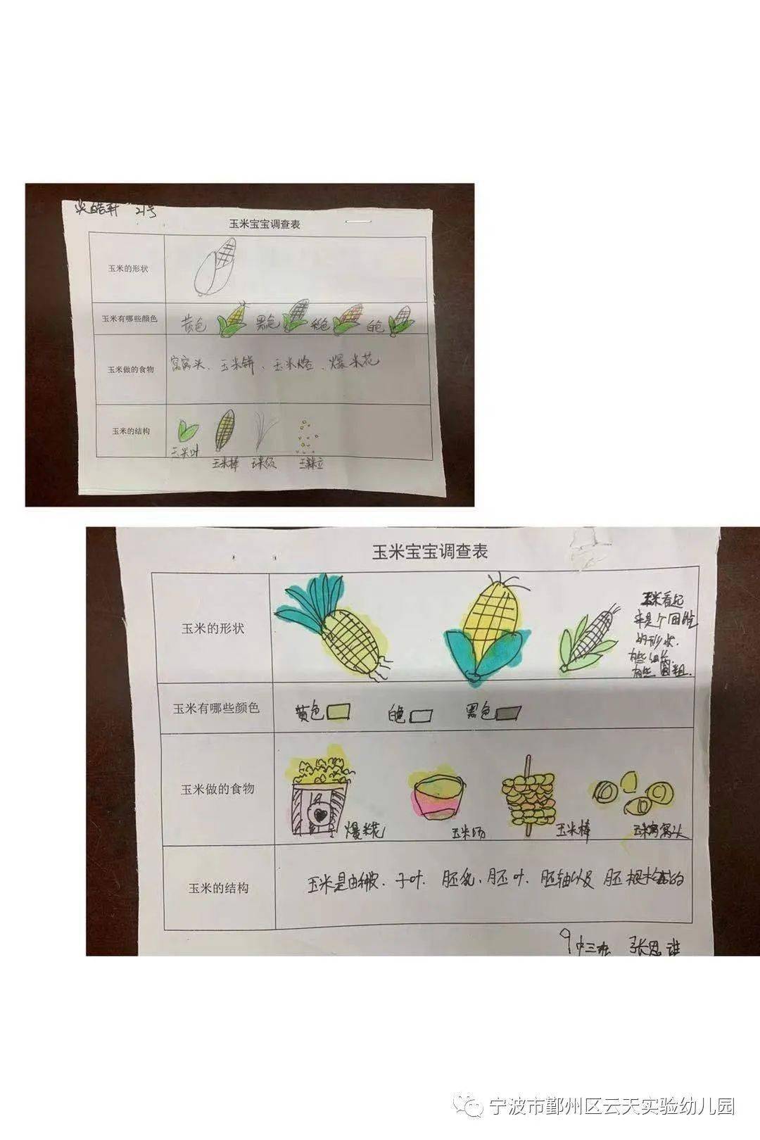 我们还根据小朋友们的提问以及想了解的内容,设计了这样一张调查表