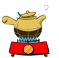 中药用法有讲究,自己煎药该注意什么?一文看懂!_手机搜狐网